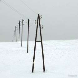 power poles 
